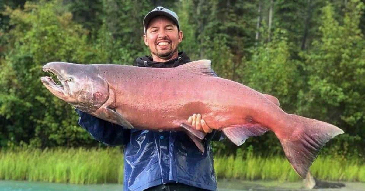 AK Fish Charters | King & Sockeye Salmon, Copper River… | ALASKA.ORG