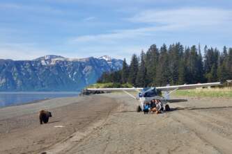 Alaska air service bear viewing