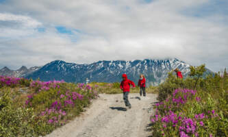 Alaska Backcountry Adventure Tours ABAT alaskaatvtourlistings 32 Ariel Mandeville