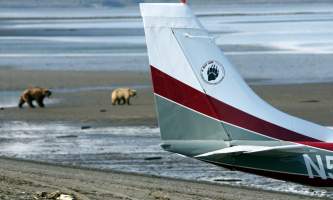 Alaska Bear Adventures with K Bay IMG 4559 22019