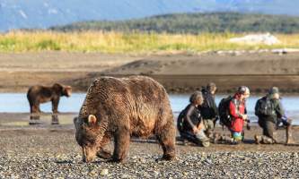 Alaska Bear Adventures with K Bay IMG 5301 22019