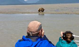 Alaska bear adventures IMG 8443