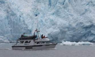 Alaska fjord charters IMG 1870