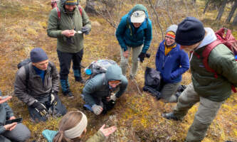 IMG 3743 Madeleinealaska geographicalaska org alaska geographic roadside naturalist tour