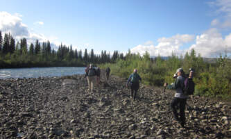 Sanctuary River Hike Rocks Madeleinealaska geographicalaska org alaska geographic roadside naturalist tour