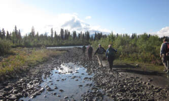 Sanctuary River Hike Rocky Madeleinealaska geographicalaska org alaska geographic roadside naturalist tour
