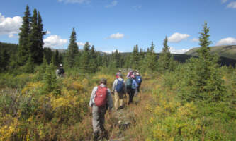 Sanctuary River hike fall colors 1 Madeleinealaska geographicalaska org alaska geographic roadside naturalist tour
