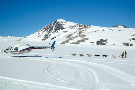 Glacier Dog Sledding with Alaska Helicopter Tours