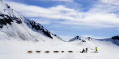 Alaska Helicopter Tours Seward Glacier Dog Sledding