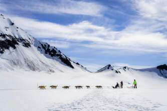 Alaska helicopter tours seward 1