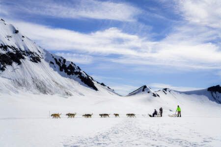 Alaska Helicopter Tours Seward Glacier Dog Sledding