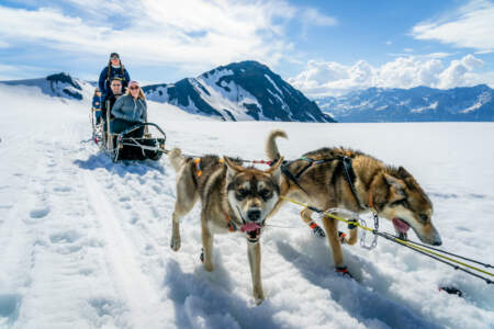 Glacier Dog Sledding with Alaska Helicopter Tours
