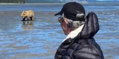 Alaska Helicopter Tours Bear Viewing