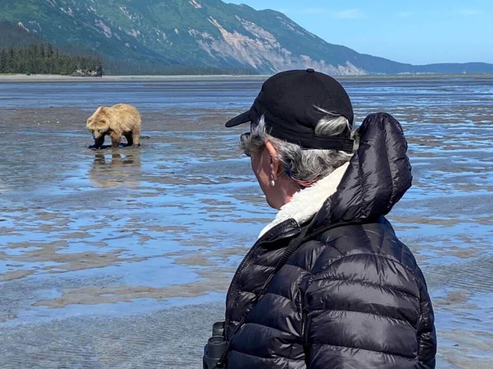 Bear viewing with Alaska Helicopter Tours at Lake Clark National Park