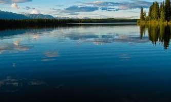 Alaska Nature Guides Byers Lake 22019