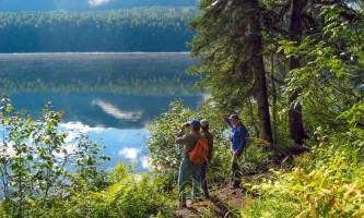 Alaska Nature Guides Byers lake nature walk2019
