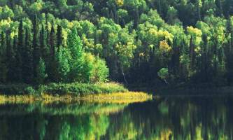 Alaska Nature Guides Talkeetna Lakes Hike 22019