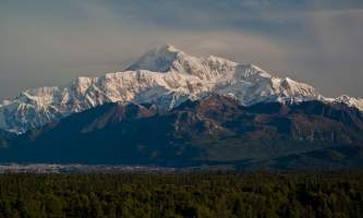 Alaska Nature Guides Wilderness Hike 22019