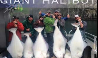 Alaska northern outfitters giant Hal2019