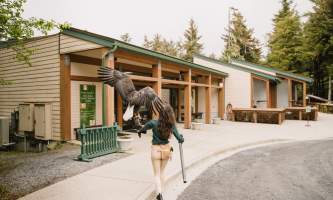 1 of 15 ARC Jennifer Cross alaska untitled