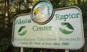 Alaska raptor center MG 6864 JN David M Iddleton 2017