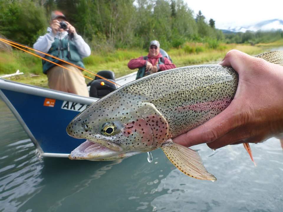 Alaska River Fishing, Kenai River Salmon