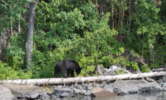 20210805 162034 Fishing Jess Ostrowski 1alaska org alaska rivers company fishing