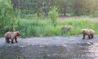 20220629 215047 Fishing Jess Ostrowski 1alaska org alaska rivers company fishing