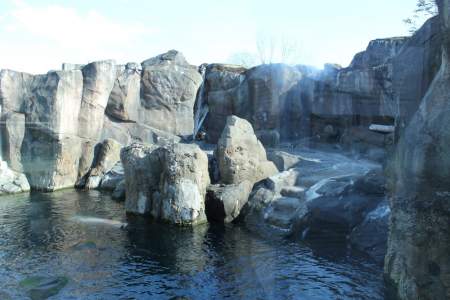 Steller Sea Lion Habitat