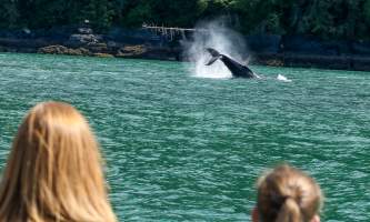 Alaska Tales Whale Watching Brian 1 E4 A0777