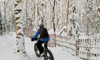 Alaska trail guides powderday