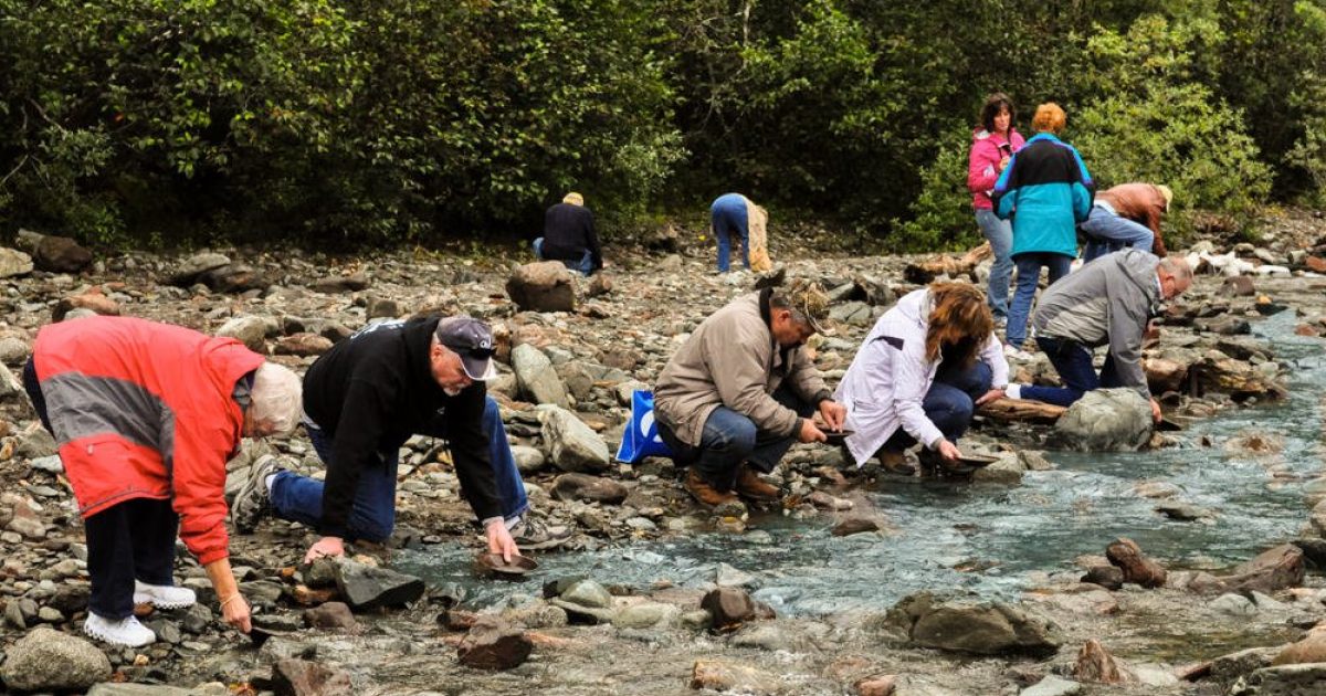 Gold Panning Adventure Alaska Travel Adventures
