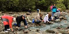Historic Gold Mining & Panning Adventure