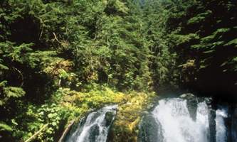 Historic gold mining panning adventure juneau gold 1 Alaska Travel Adventures
