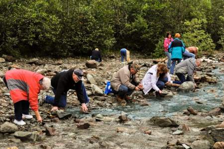 Gold Panning A Creek Running Through A Huge Gold Deposit! 