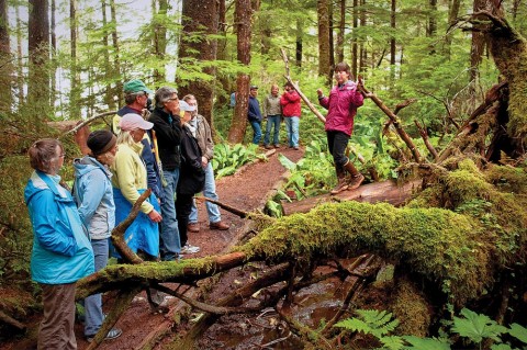 After your paddle, take a guided walk through an incredible old-growth rainforest