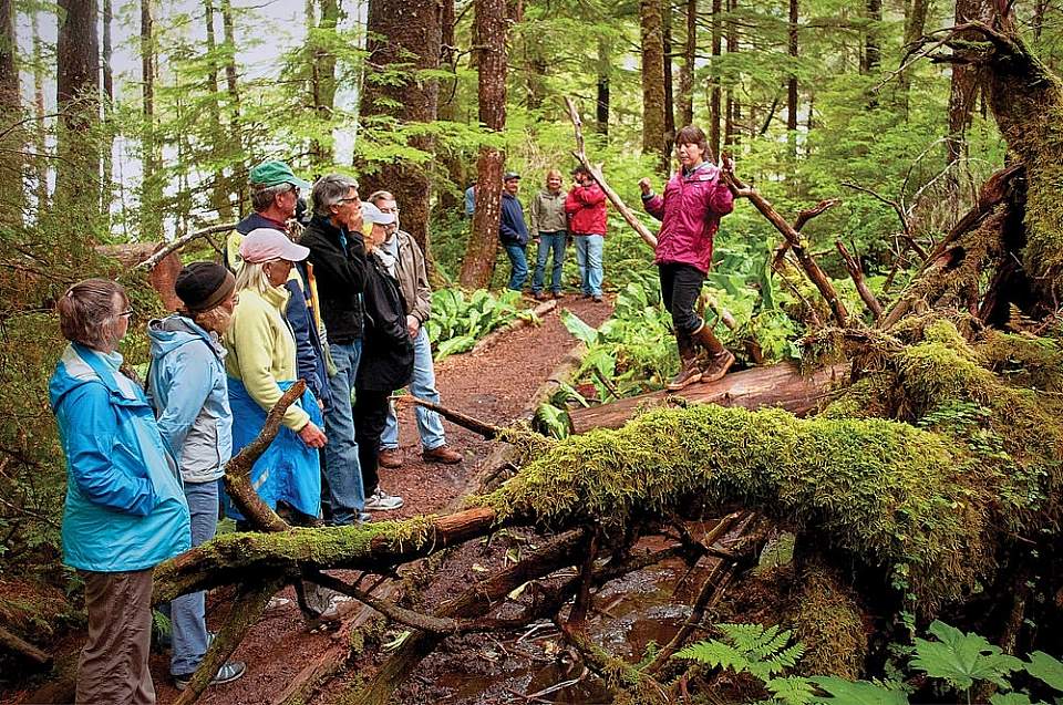 After your paddle, take a guided walk through an incredible old-growth rainforest