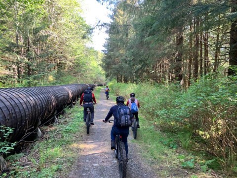 Enjoy a 5-mile pedal on an old mill road through the rainforest