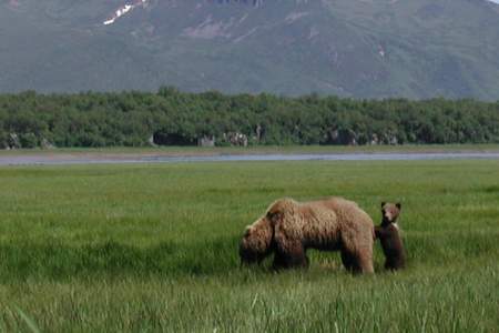 Alaska Ultimate Safaris Adventure Lodge