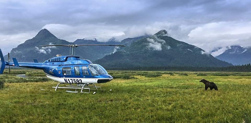Fly to remote locations in Lake Clark and Katmai National Parks to view bears in their natural habitat