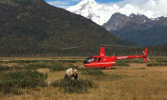 Alaska ultimate safaris helicopter flightseeing IMG 31662019