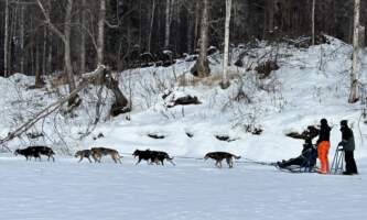 EA444 E77 5533 4555 AE87 D7 BB526595 B0 1 105 c Amanda