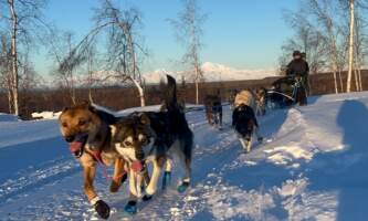 IMG 5807 Bayne alaska untitled