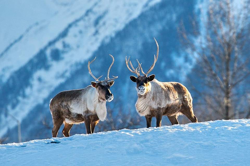 The center is open year-round with special discovery programs in winter