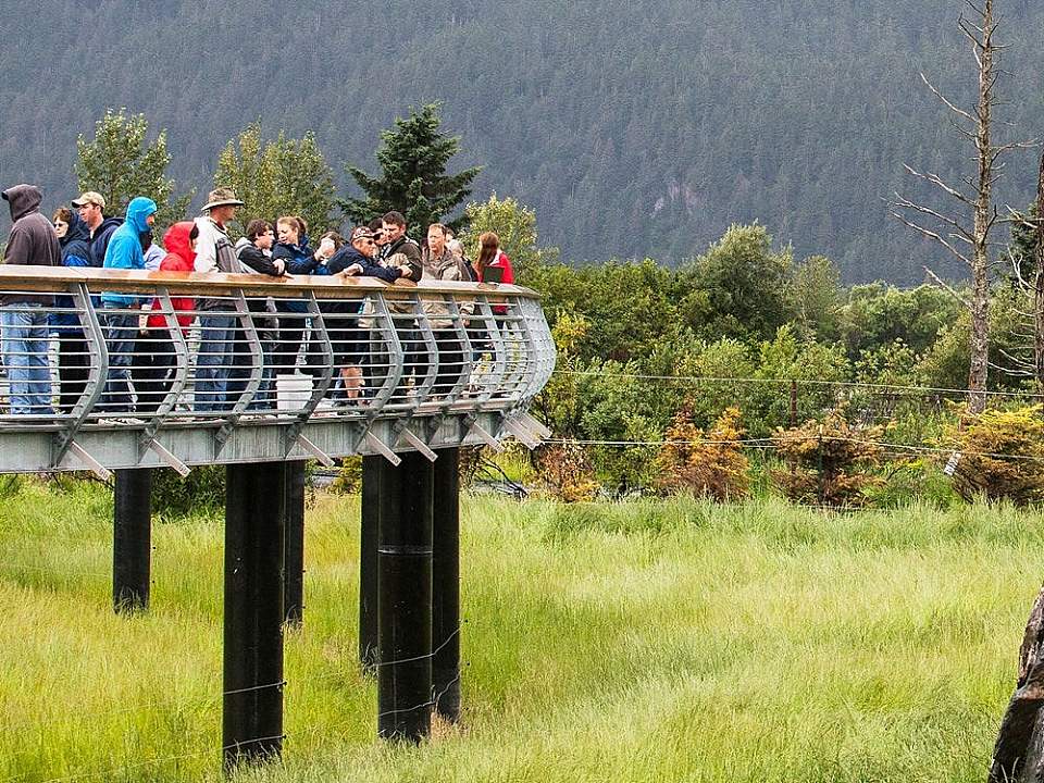 Wooden Alaskan Animals