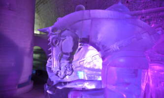 Alaska Wildlife Guide Chena Hot Springs Day Tour DSC 0238 Kyle