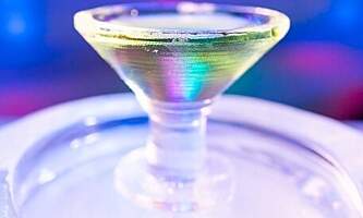 Alaska Wildlife Guide Chena Hot Springs Day Tour Appletini Kyle