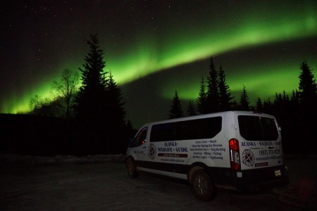 Alaska Wildlife Guide: Chena Hot Springs Northern Lights Tours