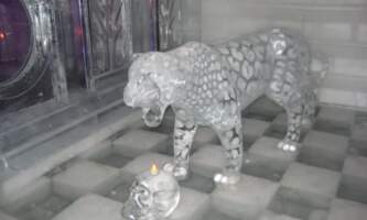 Alaska Wildlife Guide Arctic Museum 2 Kyle