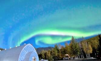 Alaska Wildlife Guide arctic museum Kyle